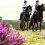 Outdoor Activities: Top 4 Locations for Horse Riding in the UK