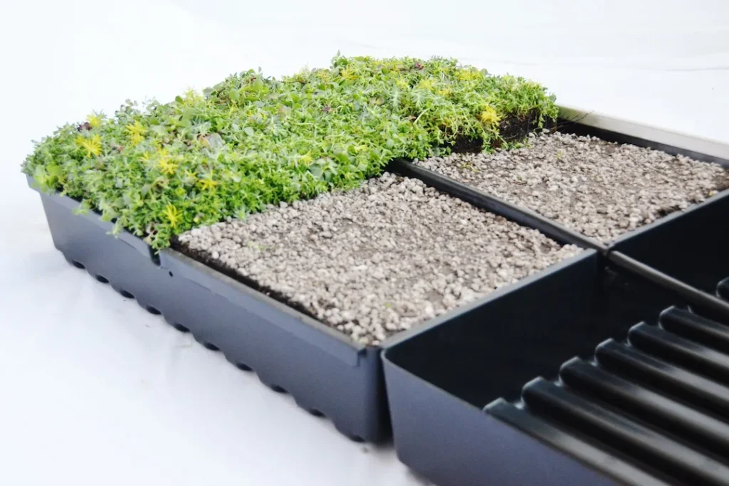 Modular Green Roof